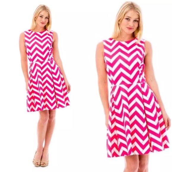 Elizabeth McKay Dresses & Skirts - Elizabeth McKay The HK Dress Chevron